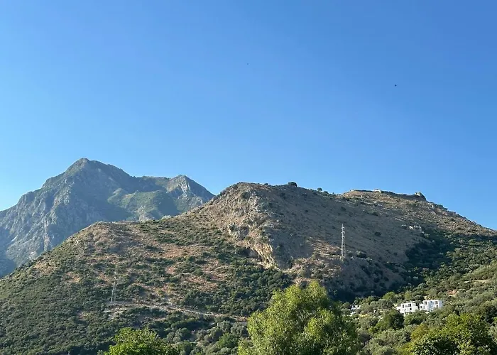 Village Nest * 博尔什